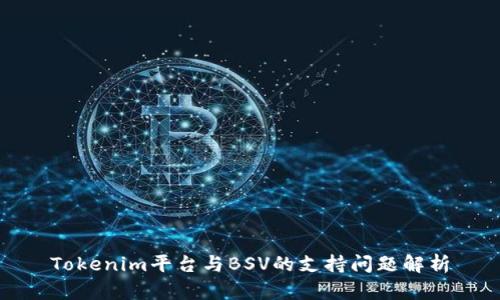 Tokenim平台与BSV的支持问题解析