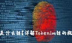 Tokenim是什么链？详解Tokenim链的概念与应用