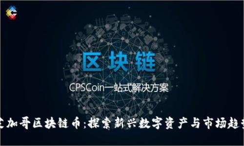 芝加哥区块链币：探索新兴数字资产与市场趋势