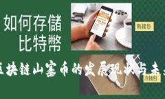 国产区块链山寨币的发展现状与未来趋势