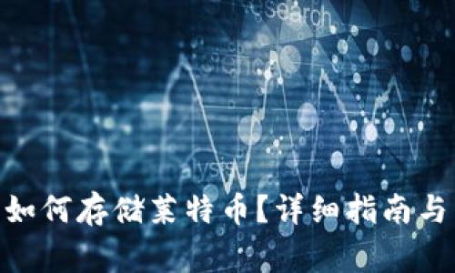 Tokenim 2.0如何存储莱特币？详细指南与常见问题解答
