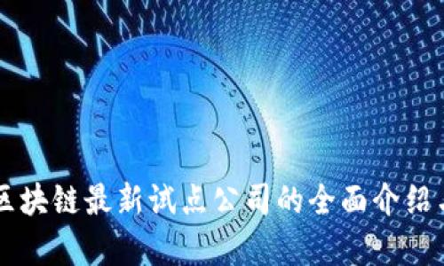 美国区块链最新试点公司的全面介绍与分析