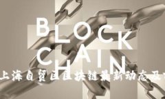 2023年上海自贸区区块链最新动态及前景分析