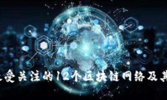 2023年最受关注的12个区块链网络及其特色解析