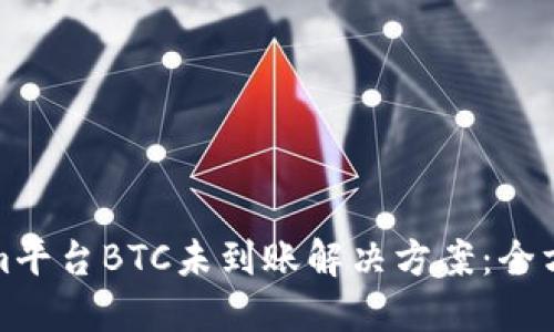 Tokenim平台BTC未到账解决方案：全方位指南