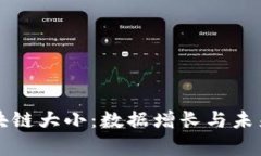 比特币区块链大小：数据增长与未来趋势分析
