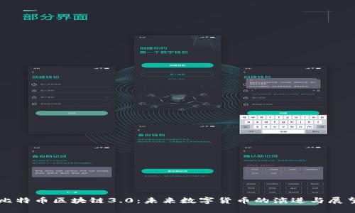 比特币区块链3.0：未来数字货币的演进与展望