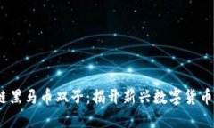 2020区块链黑马币双子：揭开新兴数字货币的神秘
