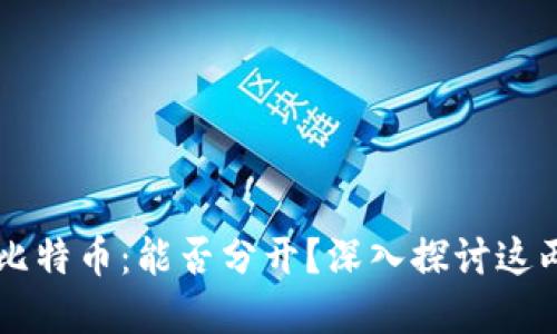 区块链与比特币：能否分开？深入探讨这两者的关系