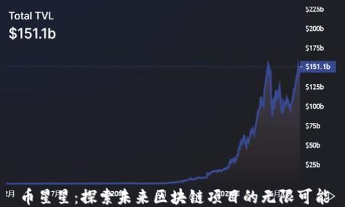
币星星：探索未来区块链项目的无限可能