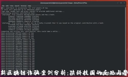 
最新区块链诈骗案例分析：陕科技圈的反思与警惕