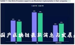 2023年国产区块链最新消息与发展趋势解析