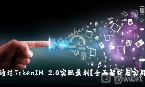如何通过TokenIM 2.0实现盈利？全面解析与实用策略