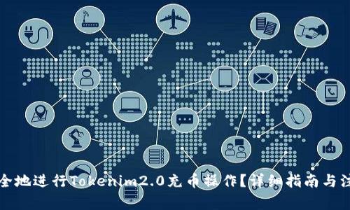 如何安全地进行Tokenim2.0充币操作？详细指南与注意事项