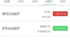 Tokenim 2.0钱包：解决狗狗币消失问题的终极指南