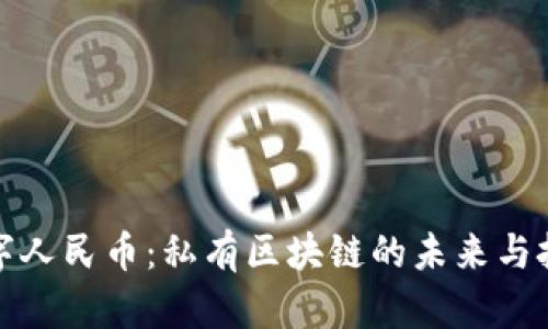 数字人民币：私有区块链的未来与挑战