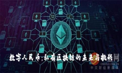 数字人民币：私有区块链的未来与挑战