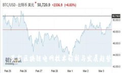 最新区块链电网技术解析与发展趋势