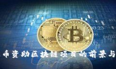 瑞波币资助区块链项目的前景与挑战