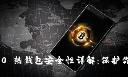 Tokenim 2.0 热钱包安全性详解：保护你的数字资产