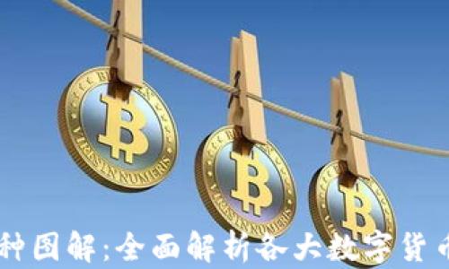 
区块链币种图解：全面解析各大数字货币及其应用