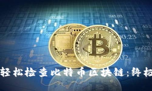 如何轻松检查比特币区块链：终极指南