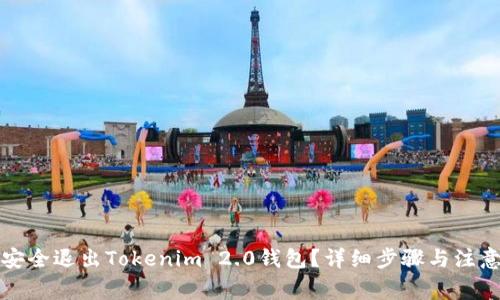 如何安全退出Tokenim 2.0钱包？详细步骤与注意事项