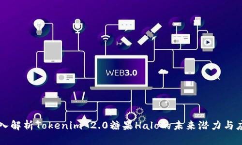 深入解析Tokenim 2.0糖果Halo的未来潜力与应用