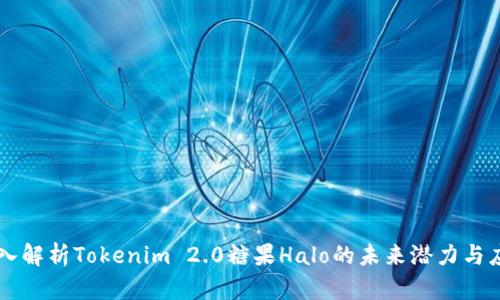深入解析Tokenim 2.0糖果Halo的未来潜力与应用
