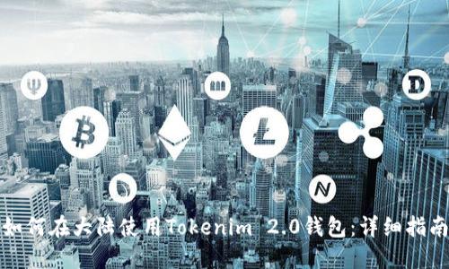 如何在大陆使用Tokenim 2.0钱包：详细指南