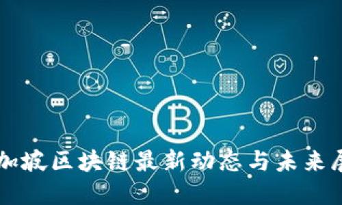 新加坡区块链最新动态与未来展望