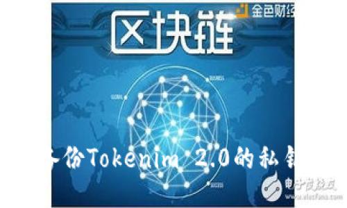 如何安全备份Tokenim 2.0的私钥：详细指南