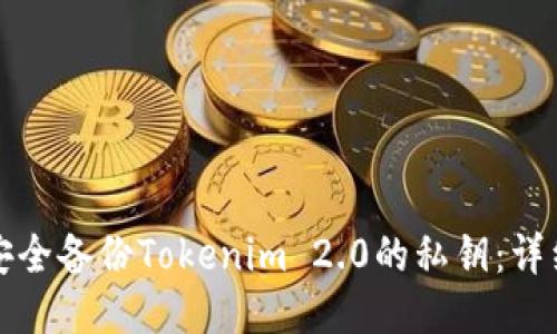 如何安全备份Tokenim 2.0的私钥：详细指南