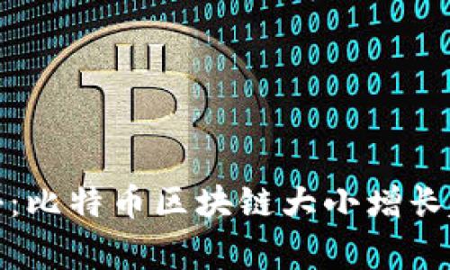 专家独家揭秘：比特币区块链大小增长趋势及其影响