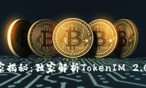 币安专家揭秘：独家解析TokenIM 2.0的秘诀！