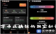 专家揭秘：十字币区块链的独家秘诀与未来发展