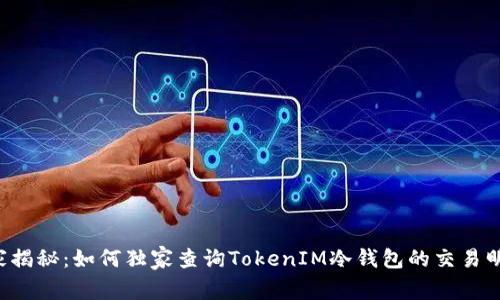 专家揭秘：如何独家查询TokenIM冷钱包的交易明细？