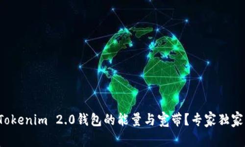 如何获取Tokenim 2.0钱包的能量与宽带？专家独家分享秘诀！