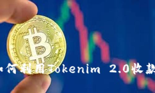 专家揭秘：如何利用Tokenim 2.0收款的独家秘诀