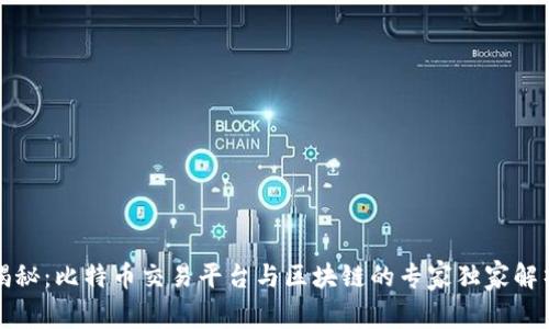 揭秘：比特币交易平台与区块链的专家独家解析