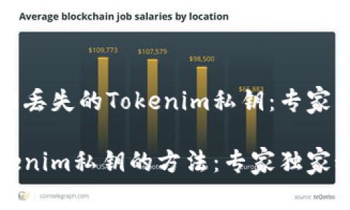 如何找回丢失的Tokenim私钥：专家独家秘诀

找回Tokenim私钥的方法：专家独家秘诀