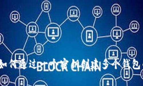 专家揭秘：如何通过一个密钥创建多个钱包的独家秘诀