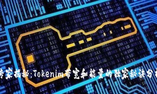 专家揭秘：Tokenim带宽和能量的独家秘诀分析