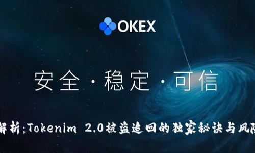 专家解析：Tokenim 2.0被盗追回的独家秘诀与风险分析