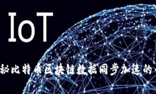  独家揭秘比特币区块链数据同步加速的专家秘诀