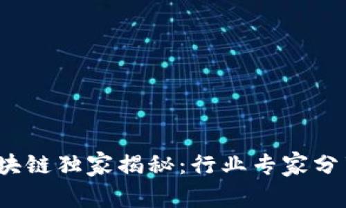 2023年民用区块链独家揭秘：行业专家分享最新发展秘诀