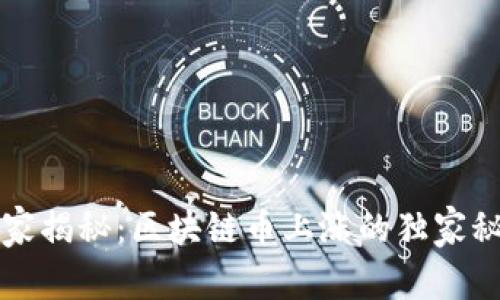 专家揭秘：区块链币上涨的独家秘诀