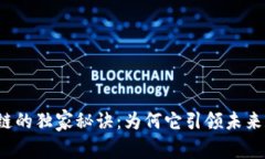 揭秘飞币区块链的独家秘诀：为何它引领未来数