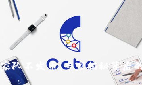 区块链国家队不发币：专家揭秘背后的独家秘诀