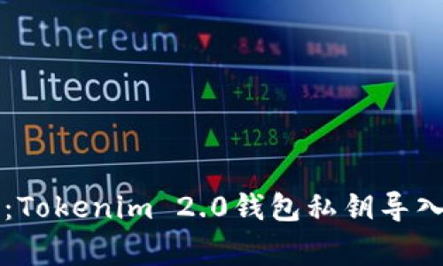 专家教你：Tokenim 2.0钱包私钥导入独家秘诀